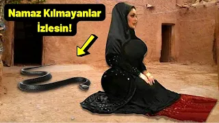 Namaz Kılarken Kadına Yılan Saldırdı, Bakın Ne Yaptı? Büyük Mucize