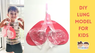 DIY Interactive Lung Model for Kids| STEM Activity