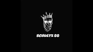 Schultz 88 | Zuiderveenrp | Storyline #1