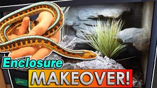 Our Red-Sided Garter Snakes get an Upgrade!