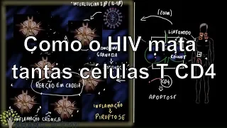 Como o HIV mata tantas células T CD4 | Vida e evolução | Khan Academy