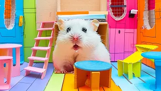 Hamster Conquers the Most Dangerous Prison Maze  A Marvelous Journey 🐹 DIY Hamster Maze