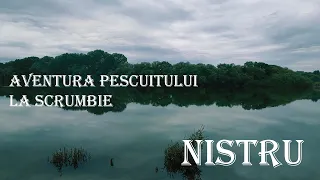 Partida de Pescuit la Scrumbie pe Nistru, 2024/ Ловля скумбрии на Днестре