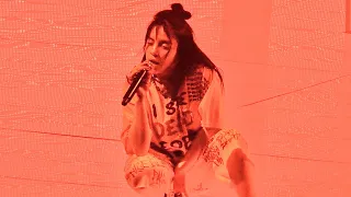 Billie Eilish, All The Good Girls Go To Hell (live), San Francisco, May 29, 2019 (4K)