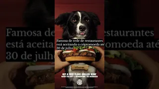 Burger King do Brasil aceita pagamentos em Dogecoin para pagar Dogpper