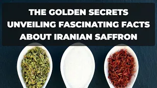 The Fascinating World of Iranian Saffron: Unveiling the Golden Secrets