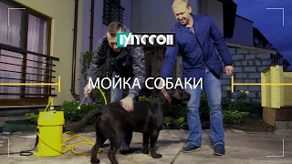 Многофункциональная Минимойка Муссон