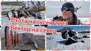 Охота на гусей 2023. Вектор на север...