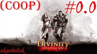 Divinity: Original Sin (coop) #0.0 «Первые грабежи, бесчинства и пьянящая безнаказанность»