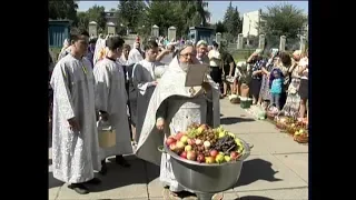 Миронівщина 21 08 2019