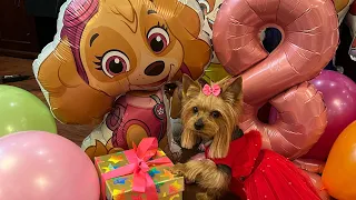 Dog vlog: День рождения Бони // Готовимся к вечеринке // Готовим торт для собак // Украшаем квартиру