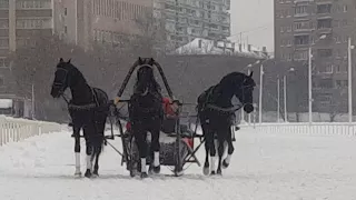 Настоящая русская тройка