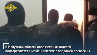 В Иркутской области двое местных жителей подозреваются в мошенничестве с продажей древесины