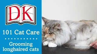 101 Cat Care: Cat Grooming for Longhaired Cats