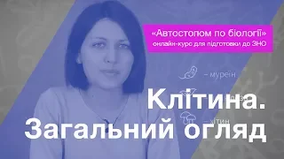 Клітина. Загальний огляд – Підготовка до ЗНО – Біологія