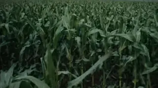 Cornfield Chase - Hans Zimmer  (s l o w e d  +  r e v e r b)