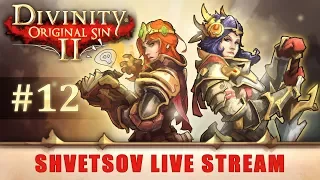 Прохождение Divinity Original Sin 2 (Часть 12) | Тень над Дрифтвудом | на русском языке