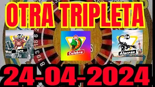 SUPER DATOS PARA🌹LOTTO ACTIVO y GRANJITA 24/04/2024#lottoactivo#lagranjita#datosparahoy#datosdehoy