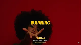 [FREE] Rema x Burna boy  Afrobeat Type Beat 2024 "Warning"