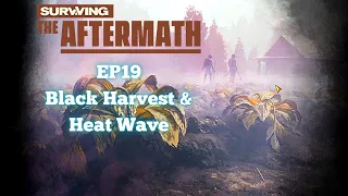 Survived a Heat Wave and Answered the Black Harvest. | Surviving the Aftermath Gameplay EP19 2023