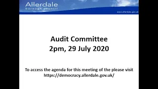 AUDIT COMMITTEE 29 JULY 2020