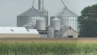 USDA crop report forecasts record-breaking corn production in Indiana