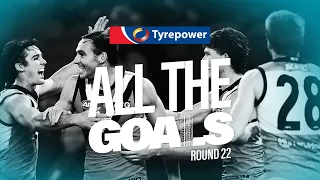 All the Goals: Round 22