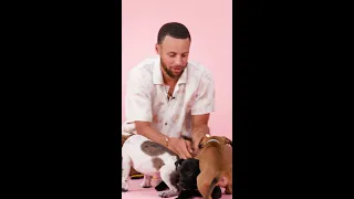 Steph Curry had to stop the puppies from getting TOO frisky