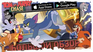 БОЛЬШОЙ ОБЗОР TOM & JERRY CHASE