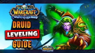 WOTLK Classic: Druid Leveling Guide (Talents, Tips & Tricks, Rotation, Gear)