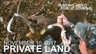 Private Land: Nov. 10 - Small Property 8 Point Buck | The Hunting Public