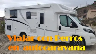 VIAJAR con Perros en AUTOCARAVANA  Mclouis  #viajeros_perrunos