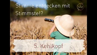 Stimme entdecken mit Stimmste?!