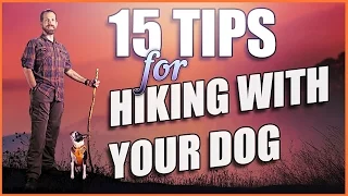 15 Killer Tips to Get Hiking With Dogs!