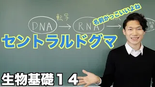 【生物基礎14】セントラルドグマってなに？