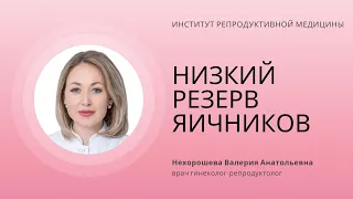 НИЗКИЙ РЕЗЕРВ ЯИЧНИКОВ. СВЕЖИЙ ЭМБРИОТРАНСФЕР ИЛИ БАНКИНГ ООЦИТОВ?