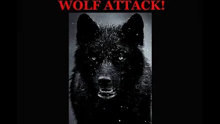 What would you do?! Huge black mutant WOLF chases down dog!!