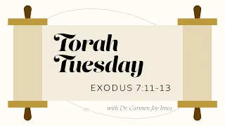 Torah Tuesday - Exodus 7:11-13