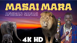 Masai Mara Safari - 4K | Explore African Wildlife - Kenya | Travel Video | Scenic and Relaxing