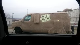 WE SAW THE "MUTT CUTS" VAN FROM DUMB AND DUMBER!