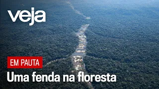 Uma fenda na floresta: operação flagra garimpo ilegal na Amazônia