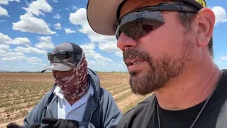 MIGRANTES TRABAJANDO EN LOS CAMPOS DE AGRICULTURA EN ARIZONA