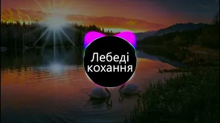 Лебеді кохання (BASS BOOSTED)