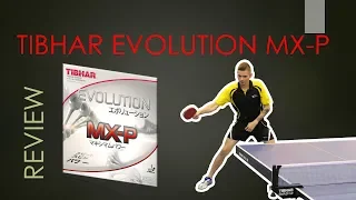 Tibhar Evolution MX-P | recenzja by Mateusz Ufnal | #tabletennis