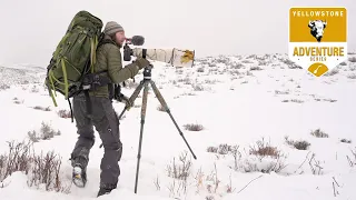 YELLOWSTONE | Wildlife Photography - Bison, Elk and Moose - ep.2