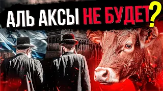 ИУДЕИ ГОТОВЯТ КОРОВУ ПРОТИВ АЛЬ АКСЫ