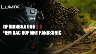 Прошивка Panasonic GH6 2.0 | Prores 422 C4K | Косяки прошивки