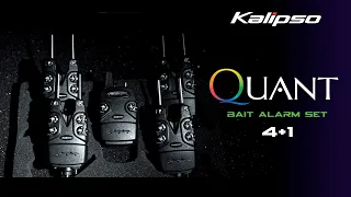 Набір сигналізаторів Kalipso Quant 4+1