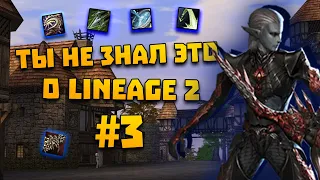 ТЫ НЕ ЗНАЛ ЭТОГО О LINEAGE 2 #3