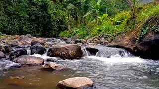 Relaxing river sounds, White noise for sleep, meditation, insomnia and study